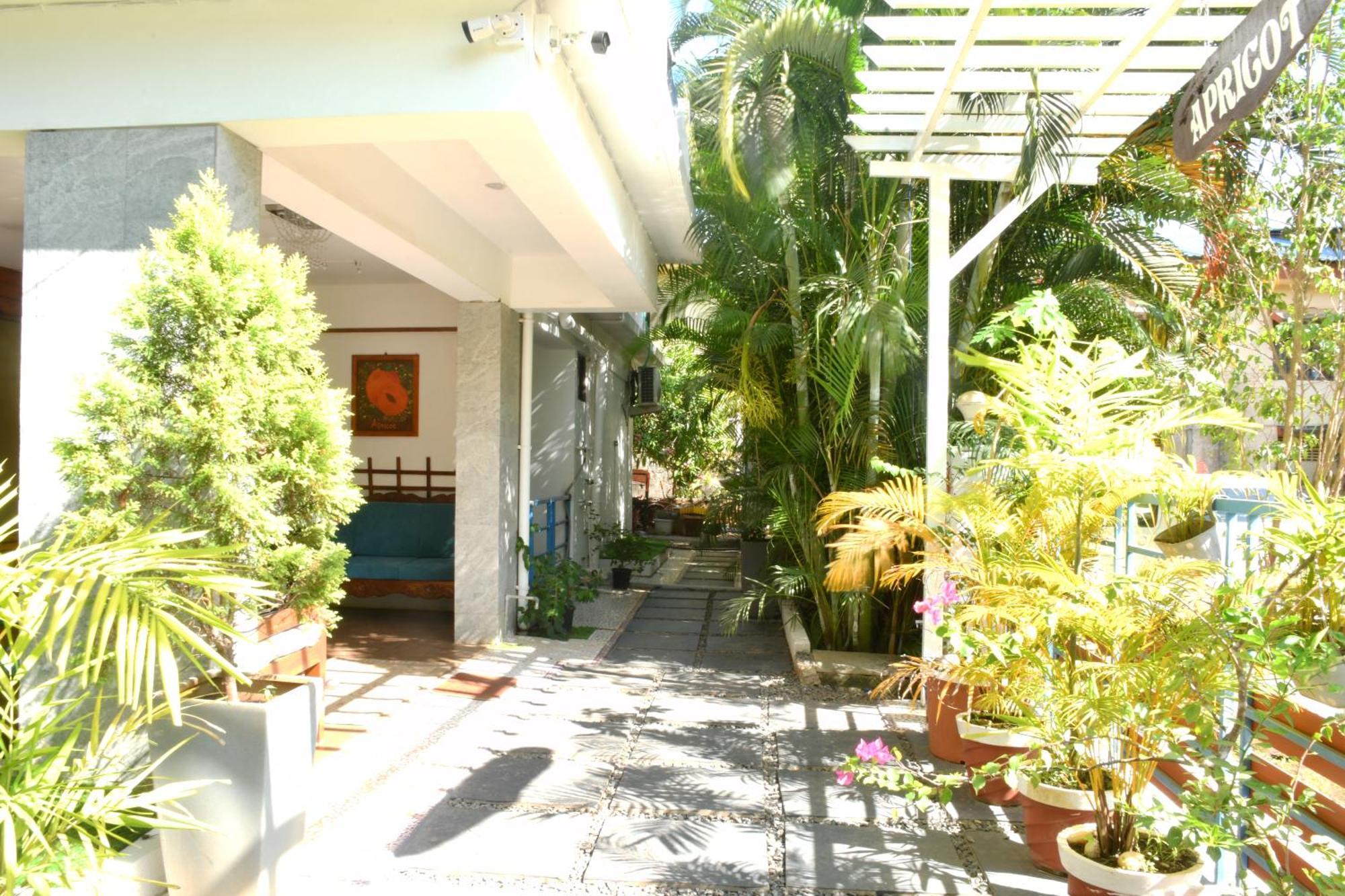 Apricot Homestays 팔로렘 외부 사진